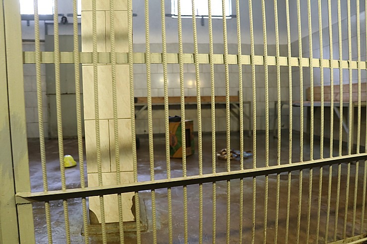 Rīgas Nacionālais zooloģiskais dārzs krusta mazos lauvēnus - «Varis» un «Teika» 307088