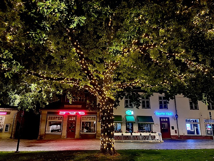 Travelnews.lv noķer dažus fotomirkļus Sāmsalas galvaspilsētā Kuresārē 307853
