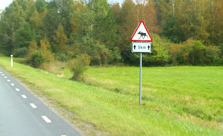 Travelnews.lv var tikai slavināt Sāmsalas autoceļu infrastruktūras kvalitāti 307859