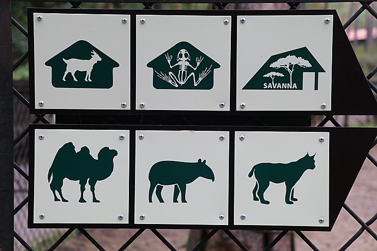 Travelnews.lv apciemo Rīgas Nacionālo zooloģisko dārzu 307963