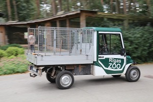 30