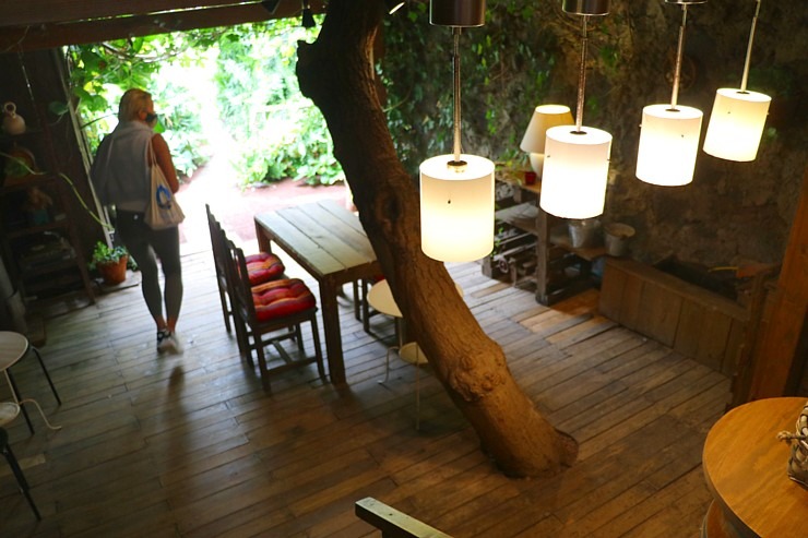Travelnews.lv degustē un izbauda Tenerifes vīnus «Museo de Malvasia» 309077