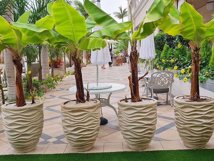 Travelnews.lv iepazīst vienu no skaistākajām dizaina viesnīcām Tenerifē - «Royal River Luxury Hotel» Travelnews.lv iepazīst vienu no skaistākajām dizaina viesnīcām Tenerifē - «Royal River Luxury Hotel» 309089