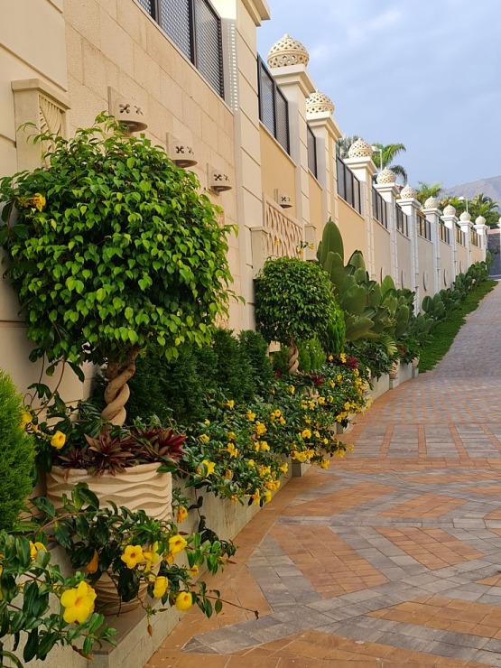 Travelnews.lv iepazīst vienu no skaistākajām dizaina viesnīcām Tenerifē - «Royal River Luxury Hotel» Travelnews.lv iepazīst vienu no skaistākajām dizaina viesnīcām Tenerifē - «Royal River Luxury Hotel» 309093