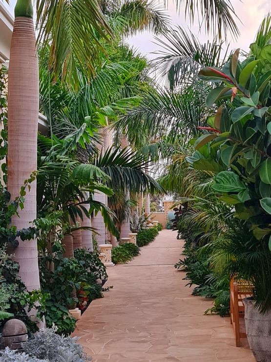 Travelnews.lv iepazīst vienu no skaistākajām dizaina viesnīcām Tenerifē - «Royal River Luxury Hotel» Travelnews.lv iepazīst vienu no skaistākajām dizaina viesnīcām Tenerifē - «Royal River Luxury Hotel» 309097