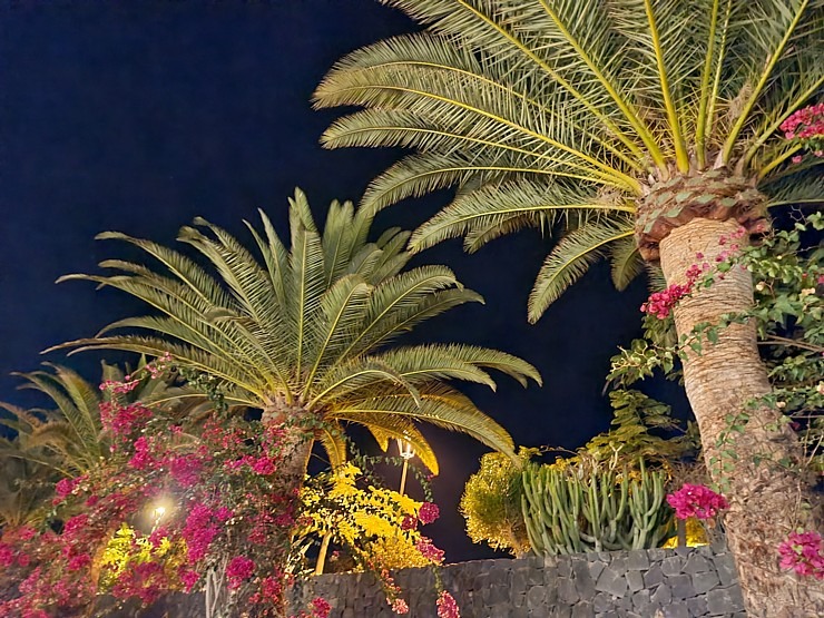 Travelnews.lv iepazīst vienu no skaistākajām dizaina viesnīcām Tenerifē - «Royal River Luxury Hotel» Travelnews.lv iepazīst vienu no skaistākajām dizaina viesnīcām Tenerifē - «Royal River Luxury Hotel» 309152