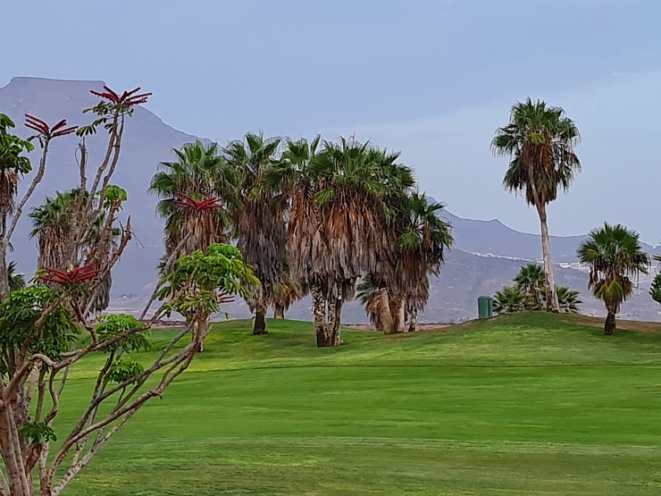 Travelnews.lv iepazīst vienu no skaistākajām dizaina viesnīcām Tenerifē - «Royal River Luxury Hotel» Travelnews.lv iepazīst vienu no skaistākajām dizaina viesnīcām Tenerifē - «Royal River Luxury Hotel» 309088