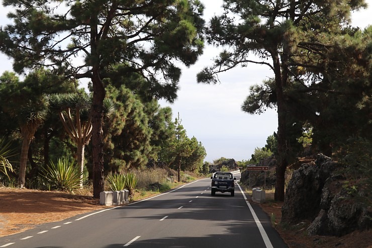 Travelnews.lv ar ekskursiju autobusu apbrauc apkārt Tenerifes salai un izbauda ceļu infrastruktūru Travelnews.lv ar ekskursiju autobusu apbrauc apkārt Tenerifes salai un izbauda ceļu infrastruktūru 309623