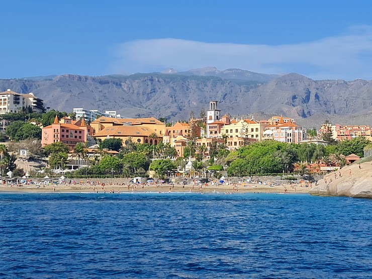 Travelnews.lv ar katamarānu Atlantijas okeānā vēro delfīnus un citas radības 309965