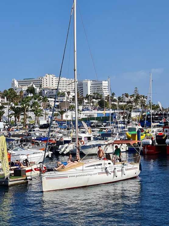Travelnews.lv ar katamarānu Atlantijas okeānā vēro delfīnus un citas radības 309968