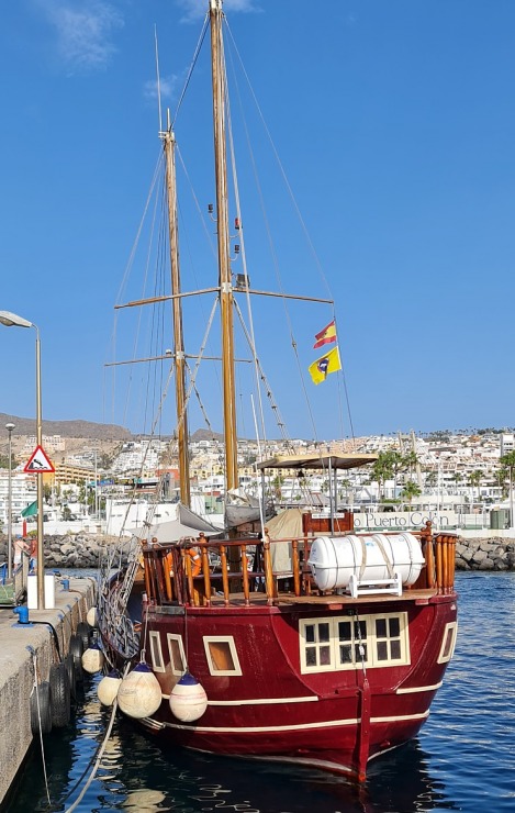 Travelnews.lv ar katamarānu Atlantijas okeānā vēro delfīnus un citas radības 309969