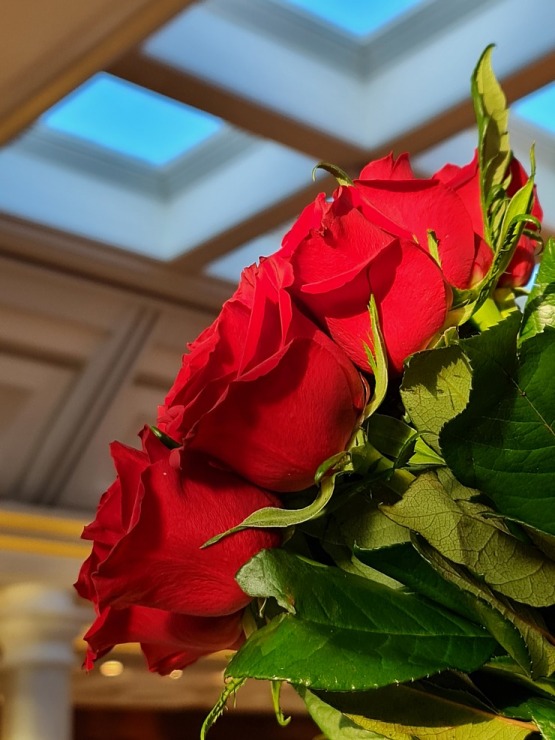 Iepazīstam Šarm el Šeihas 5 zvaigžņu viesnīcas «Rixos Sharm El Sheikh Adult Friendly» galveno ēku Iepazīstam Šarm el Šeihas 5 zvaigžņu viesnīcas «Rixos Sharm El Sheikh Adult Friendly» galveno ēku 310028