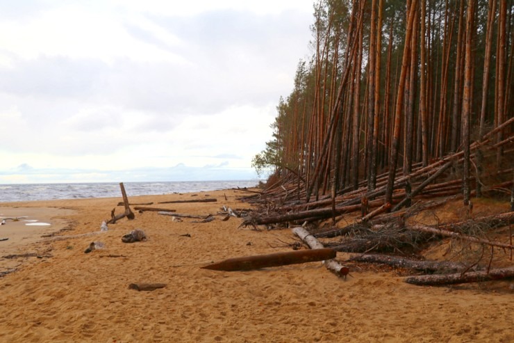Travelnews.lv atsāk rudens pārgājienu sezonu - Adažu novads 310296