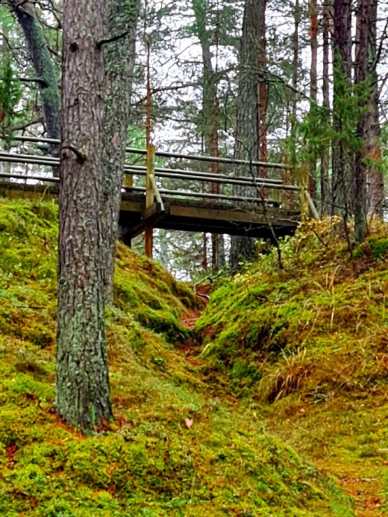 Travelnews.lv dodas 9 km pārgājiena uz Raga kāpu Jūrmalā 310452