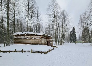 25