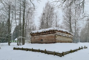 26