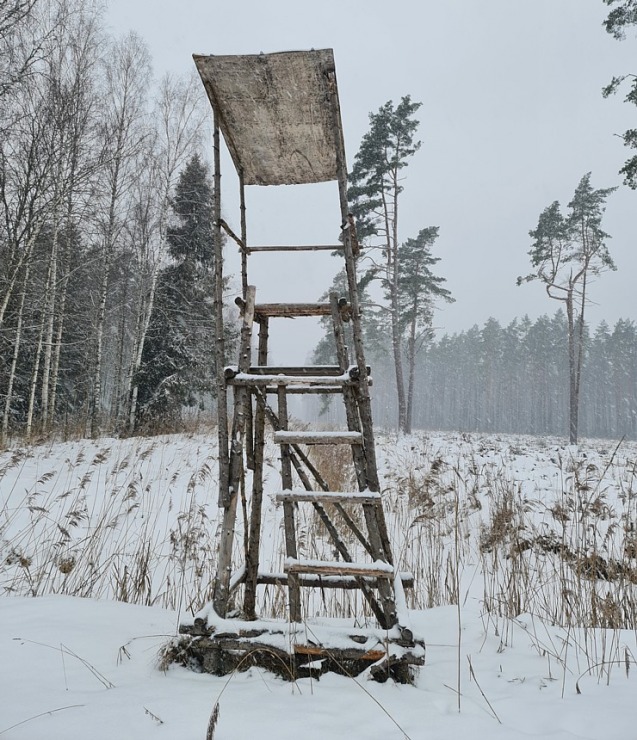 Travelnews.lv dodas 26 km pārgājienā Ložmetējkalna apkārtnē Jelgavas novadā 312993