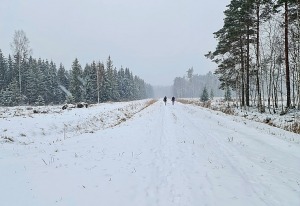 44