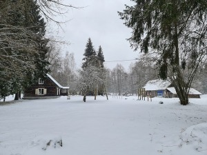 26