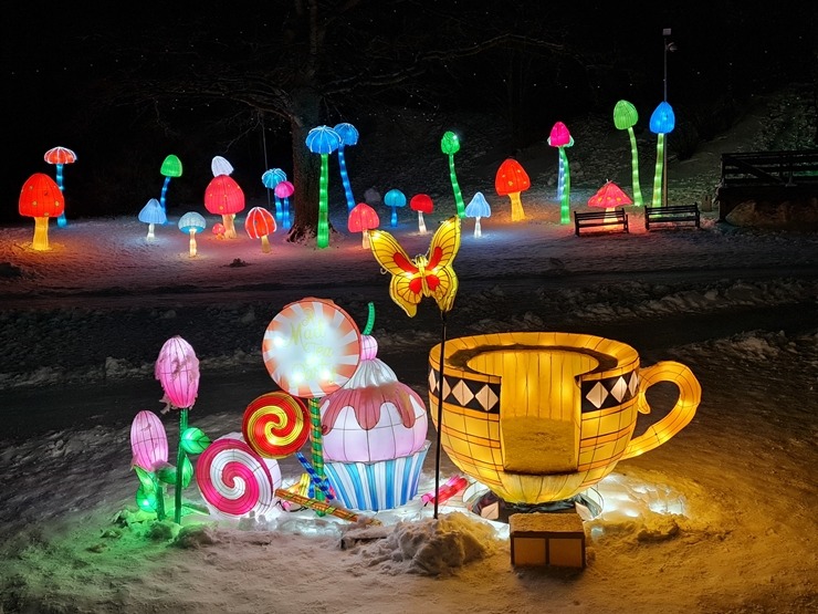 Siguldā kopš 4.02.2022 notiek grandiozs un ģimenisks gaismas festivāls «Brīnumzemē» 313872