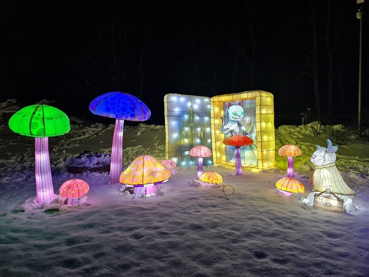 Siguldā kopš 4.02.2022 notiek grandiozs un ģimenisks gaismas festivāls «Brīnumzemē» 313888