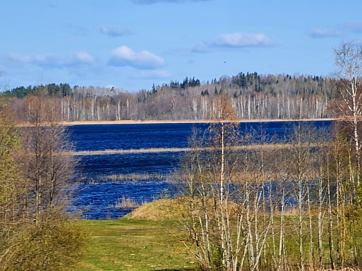 Dodamies 26 km pārgājienā ar suņiem Sivera ezera apkārtnē Krāslavas novadā 316207
