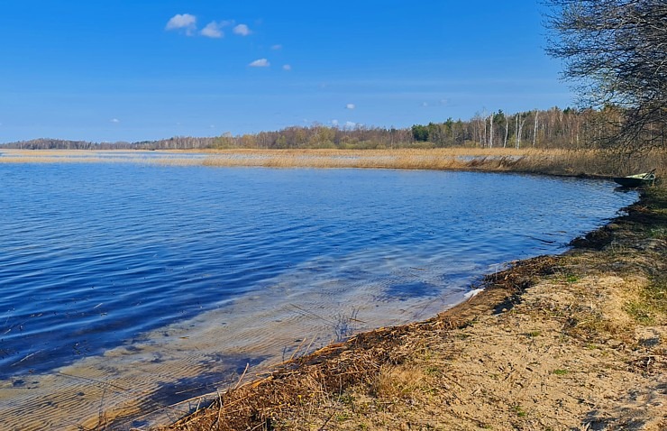 Dodamies 26 km pārgājienā ar suņiem Sivera ezera apkārtnē Krāslavas novadā 316191
