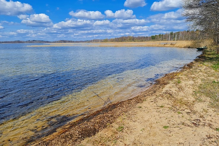 Dodamies 26 km pārgājienā ar suņiem Sivera ezera apkārtnē Krāslavas novadā 316192