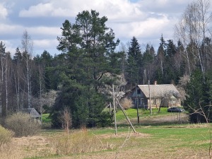 30