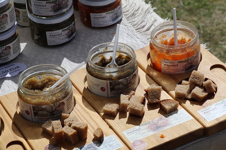 Krāslavas grāfu Plāteru pils kompleksā notiek praktisko mākslu festivāls «Pārvērtības» 316263
