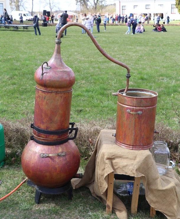 Krāslavas grāfu Plāteru pils kompleksā notiek praktisko mākslu festivāls «Pārvērtības» 316286