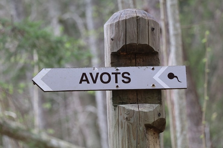 24 km pārgājiens Cēsu novada Raiskuma apkārtnē 316550
