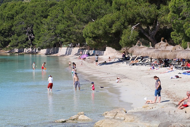 Travelnews.lv iepazīst Maļorkas salas Formentora raga pludmales. Sadarbībā ar Latvijas tūrisma firmu «Atlantic Travel» Travelnews.lv iepazīst Maļorkas salas Formentora raga pludmales. Sadarbībā ar Latvijas tūrisma firmu «Atlantic Travel» 317066