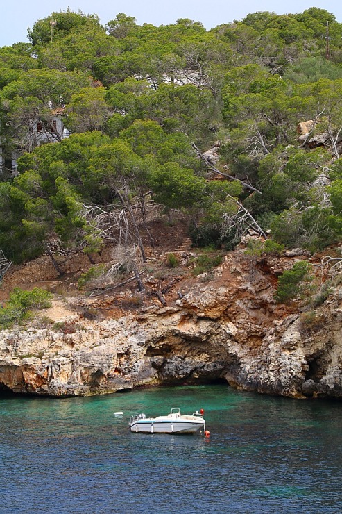 Travelnews.lv iepazīst Maļorkas fjorda Cala Figuera romantisku zvejnieku ciematu. Sadarbībā ar Latvijas tūrisma firmu «Atlantic Travel» Travelnews.lv iepazīst Maļorkas fjorda Cala Figuera romantisku zvejnieku ciematu. Sadarbībā ar Latvijas tūrisma firmu «Atlantic Travel» 317324