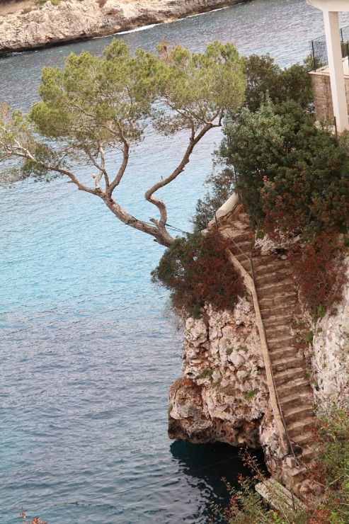 Travelnews.lv iepazīst Maļorkas fjorda Cala Figuera romantisku zvejnieku ciematu. Sadarbībā ar Latvijas tūrisma firmu «Atlantic Travel» Travelnews.lv iepazīst Maļorkas fjorda Cala Figuera romantisku zvejnieku ciematu. Sadarbībā ar Latvijas tūrisma firmu «Atlantic Travel» 317348