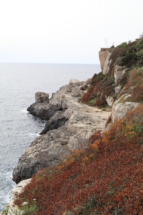 Travelnews.lv iepazīst Maļorkas fjorda Cala Figuera romantisku zvejnieku ciematu. Sadarbībā ar Latvijas tūrisma firmu «Atlantic Travel» Travelnews.lv iepazīst Maļorkas fjorda Cala Figuera romantisku zvejnieku ciematu. Sadarbībā ar Latvijas tūrisma firmu «Atlantic Travel» 317317