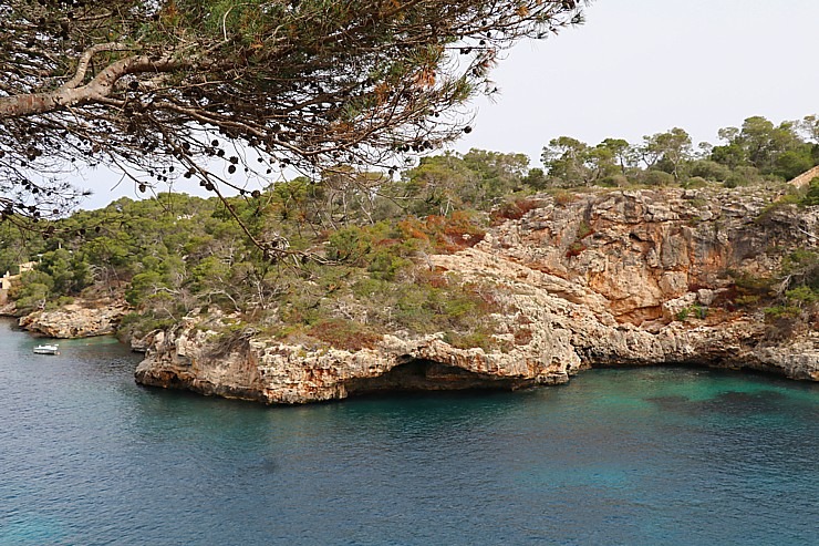 Travelnews.lv iepazīst Maļorkas fjorda Cala Figuera romantisku zvejnieku ciematu. Sadarbībā ar Latvijas tūrisma firmu «Atlantic Travel» Travelnews.lv iepazīst Maļorkas fjorda Cala Figuera romantisku zvejnieku ciematu. Sadarbībā ar Latvijas tūrisma firmu «Atlantic Travel» 317319