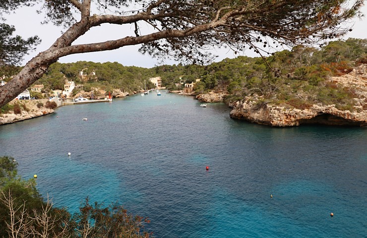 Travelnews.lv iepazīst Maļorkas fjorda Cala Figuera romantisku zvejnieku ciematu. Sadarbībā ar Latvijas tūrisma firmu «Atlantic Travel» Travelnews.lv iepazīst Maļorkas fjorda Cala Figuera romantisku zvejnieku ciematu. Sadarbībā ar Latvijas tūrisma firmu «Atlantic Travel» 317320