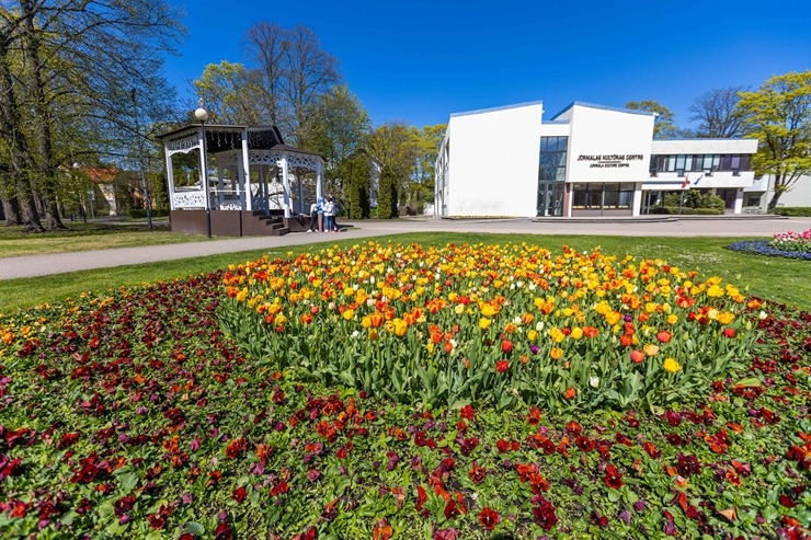Jūrmala šobrīd tulpju galvaspilsēta Latvijā. Foto: Artis Veigurs 317472