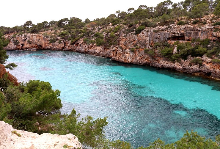 Travelnews.lv apmeklē klinšu ieskautu pludmali «Cala Pi» ar bīstamu skatu laukumu. Sadarbībā ar Latvijas tūrisma firmu Atlantic Travel Travelnews.lv apmeklē klinšu ieskautu pludmali «Cala Pi» ar bīstamu skatu laukumu. Sadarbībā ar Latvijas tūrisma firmu Atlantic Travel 317509