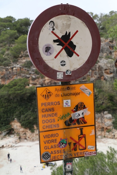 Travelnews.lv apmeklē klinšu ieskautu pludmali «Cala Pi» ar bīstamu skatu laukumu. Sadarbībā ar Latvijas tūrisma firmu Atlantic Travel Travelnews.lv apmeklē klinšu ieskautu pludmali «Cala Pi» ar bīstamu skatu laukumu. Sadarbībā ar Latvijas tūrisma firmu Atlantic Travel 317514