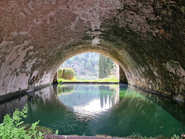 Travelnews.lv iepazīst Maļorkas tropu dārzu un populāru kāzu vietu «Jardines de Alfabia». Sadarbībā ar Latvijas tūrisma firmu «Atlantic Travel» Travelnews.lv iepazīst Maļorkas tropu dārzu un populāru kāzu vietu «Jardines de Alfabia». Sadarbībā ar Latvijas tūrisma firmu «Atlantic Travel» 317878