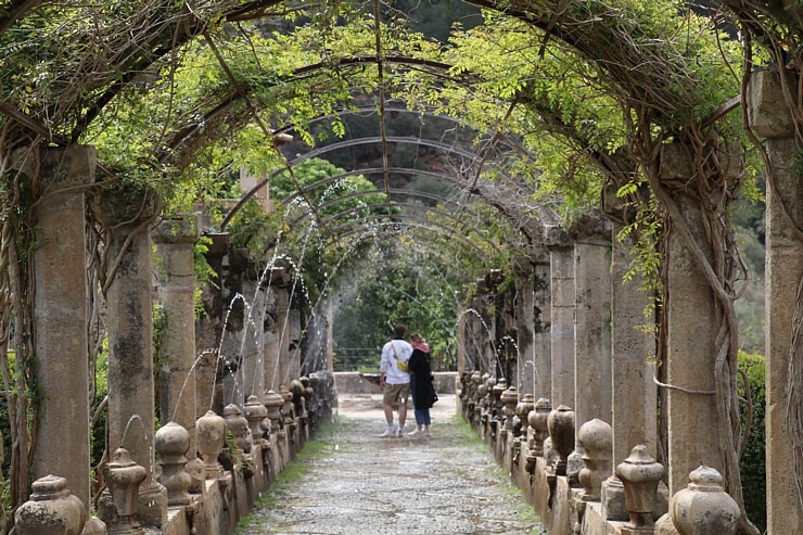 Travelnews.lv iepazīst Maļorkas tropu dārzu un populāru kāzu vietu «Jardines de Alfabia». Sadarbībā ar Latvijas tūrisma firmu «Atlantic Travel» Travelnews.lv iepazīst Maļorkas tropu dārzu un populāru kāzu vietu «Jardines de Alfabia». Sadarbībā ar Latvijas tūrisma firmu «Atlantic Travel» 317882