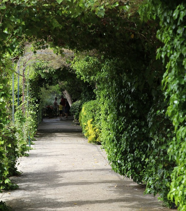 Travelnews.lv iepazīst Maļorkas tropu dārzu un populāru kāzu vietu «Jardines de Alfabia». Sadarbībā ar Latvijas tūrisma firmu «Atlantic Travel» Travelnews.lv iepazīst Maļorkas tropu dārzu un populāru kāzu vietu «Jardines de Alfabia». Sadarbībā ar Latvijas tūrisma firmu «Atlantic Travel» 317886