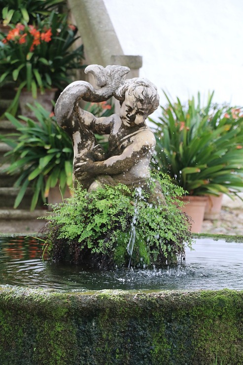 Travelnews.lv iepazīst Maļorkas tropu dārzu un populāru kāzu vietu «Jardines de Alfabia». Sadarbībā ar Latvijas tūrisma firmu «Atlantic Travel» Travelnews.lv iepazīst Maļorkas tropu dārzu un populāru kāzu vietu «Jardines de Alfabia». Sadarbībā ar Latvijas tūrisma firmu «Atlantic Travel» 317841