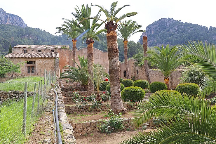 Travelnews.lv iepazīst Maļorkas tropu dārzu un populāru kāzu vietu «Jardines de Alfabia». Sadarbībā ar Latvijas tūrisma firmu «Atlantic Travel» Travelnews.lv iepazīst Maļorkas tropu dārzu un populāru kāzu vietu «Jardines de Alfabia». Sadarbībā ar Latvijas tūrisma firmu «Atlantic Travel» 317843