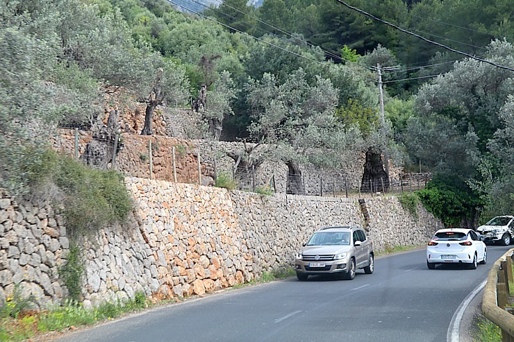Travelnews.lv dodas ekskursijā Maļorkas ziemeļos pa auto maršrutu: Valldemossa - Soļera. Sadarbībā ar Latvijas tūrisma firmu «Atlantic Travel» Travelnews.lv dodas ekskursijā Maļorkas ziemeļos pa auto maršrutu: Valldemossa - Soļera. Sadarbībā ar Latvijas tūrisma firmu «Atlantic Travel» 318153