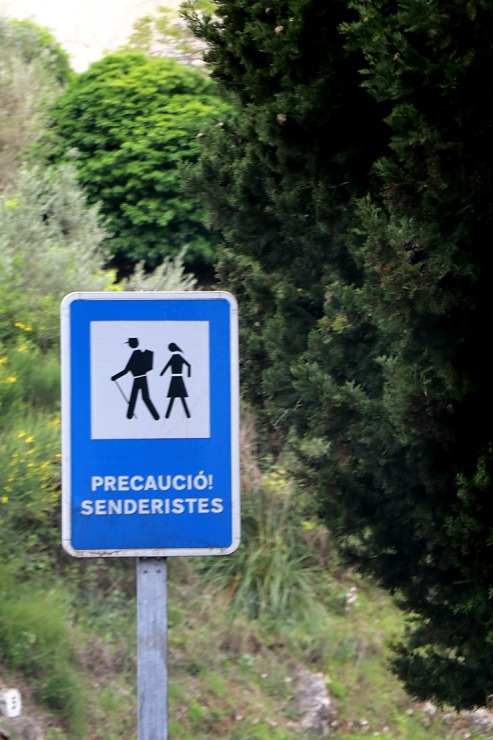 Travelnews.lv dodas ekskursijā Maļorkas ziemeļos pa auto maršrutu: Valldemossa - Soļera. Sadarbībā ar Latvijas tūrisma firmu «Atlantic Travel» Travelnews.lv dodas ekskursijā Maļorkas ziemeļos pa auto maršrutu: Valldemossa - Soļera. Sadarbībā ar Latvijas tūrisma firmu «Atlantic Travel» 318154