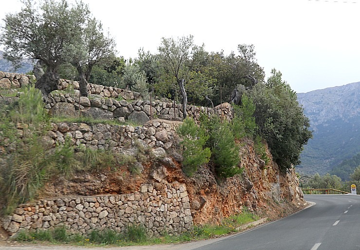 Travelnews.lv dodas ekskursijā Maļorkas ziemeļos pa auto maršrutu: Valldemossa - Soļera. Sadarbībā ar Latvijas tūrisma firmu «Atlantic Travel» Travelnews.lv dodas ekskursijā Maļorkas ziemeļos pa auto maršrutu: Valldemossa - Soļera. Sadarbībā ar Latvijas tūrisma firmu «Atlantic Travel» 318160