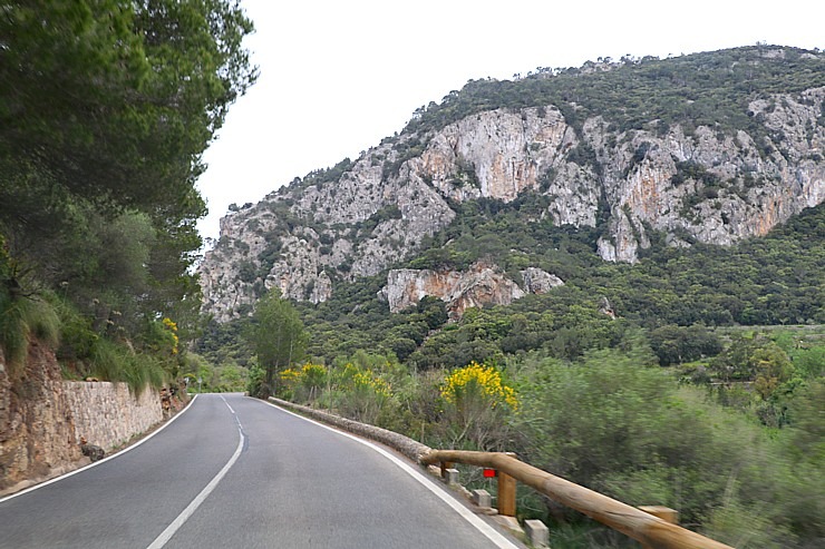 Travelnews.lv dodas ekskursijā Maļorkas ziemeļos pa auto maršrutu: Valldemossa - Soļera. Sadarbībā ar Latvijas tūrisma firmu «Atlantic Travel» Travelnews.lv dodas ekskursijā Maļorkas ziemeļos pa auto maršrutu: Valldemossa - Soļera. Sadarbībā ar Latvijas tūrisma firmu «Atlantic Travel» 318161